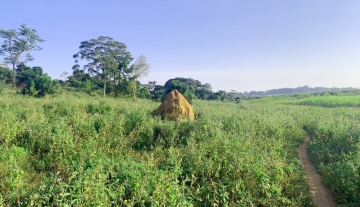 WhatsApp Image 2025-03-21 at 21.51.13.jpg